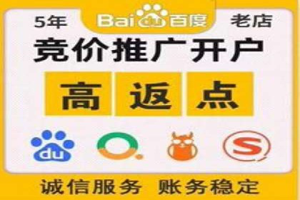 百度竞价广告的投放策略与成功案例分析